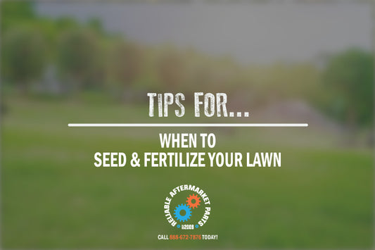 When to Seed/Plant and Fertilizer Your Lawn