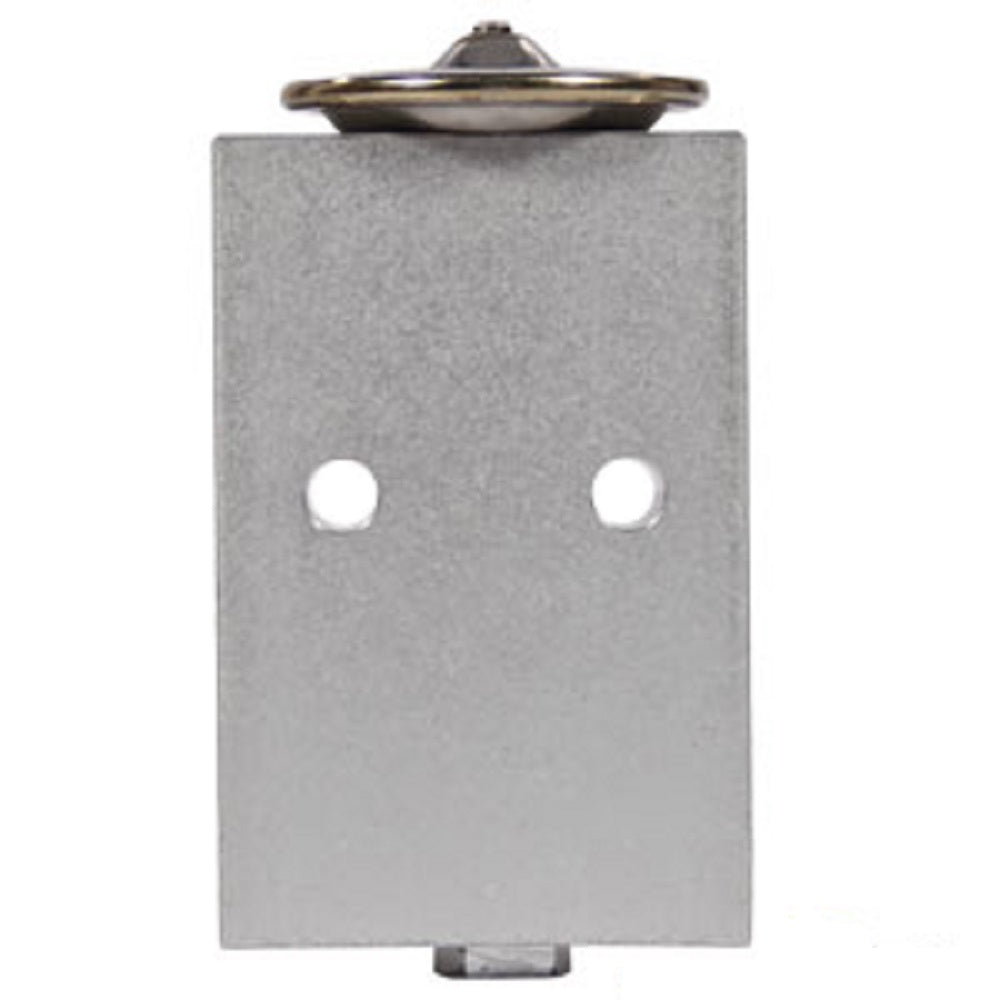 888228 Expansion Valve, Block Fits Challenger