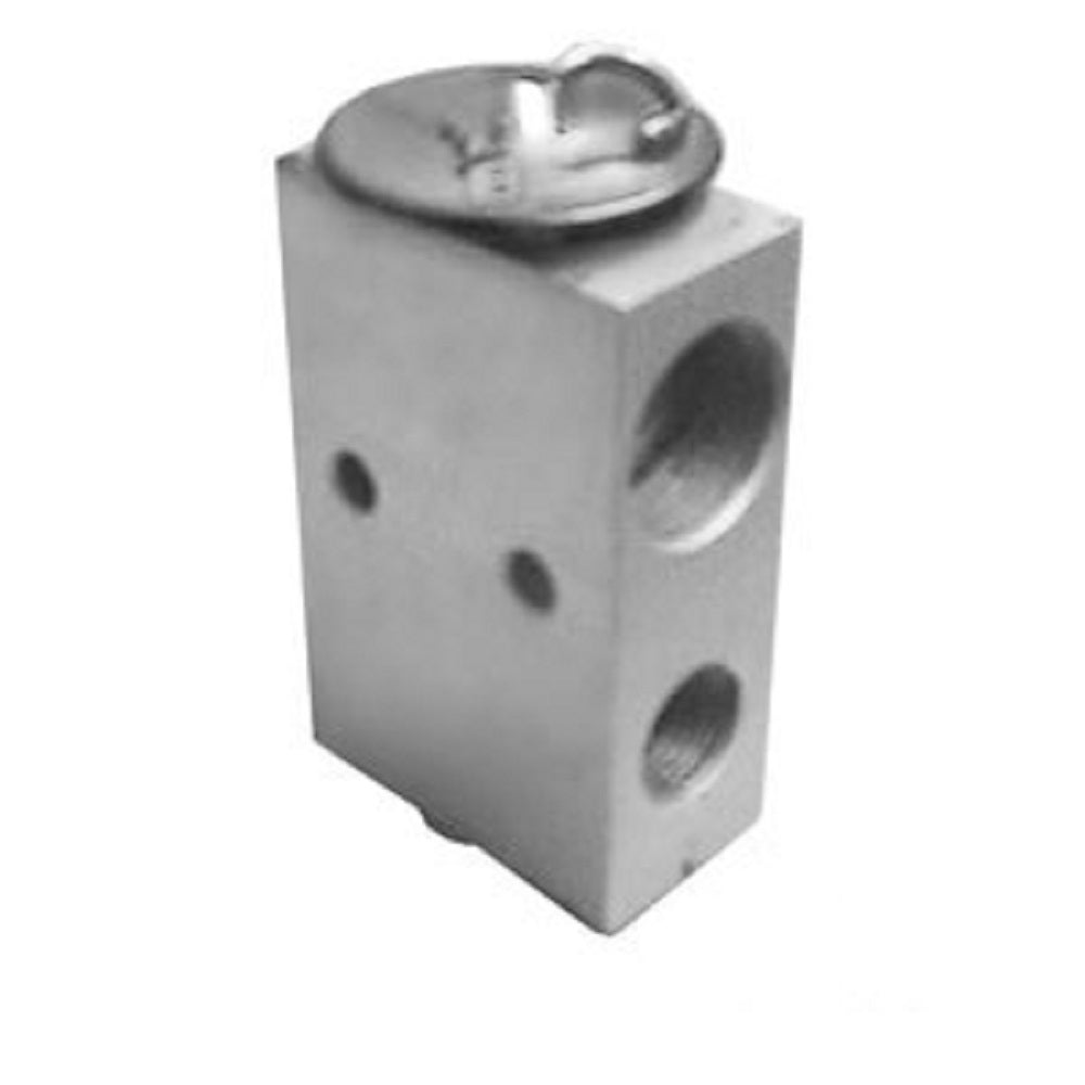 888228 Expansion Valve, Block Fits Challenger