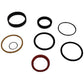 190-32386 Hydraulic Lift Cylinder Seal Kit For Owatonna Skid Steer 440 441 445